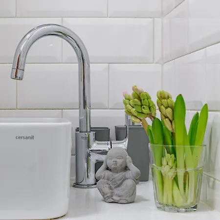 Feel Lviv! Old アパート