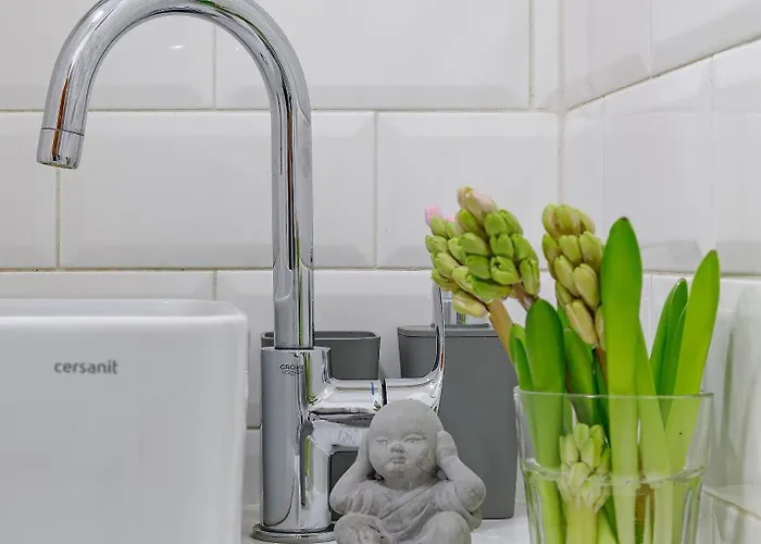 Feel Lviv! Old Daire